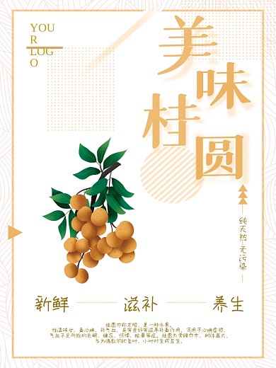 简约大气桂圆美食海报