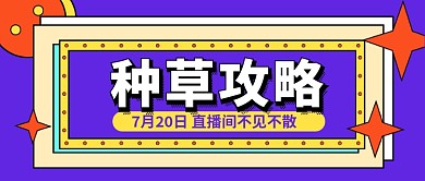 紫色时尚种草攻略服饰美妆公众号首图