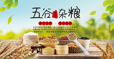 五谷杂粮电商食品海报banner