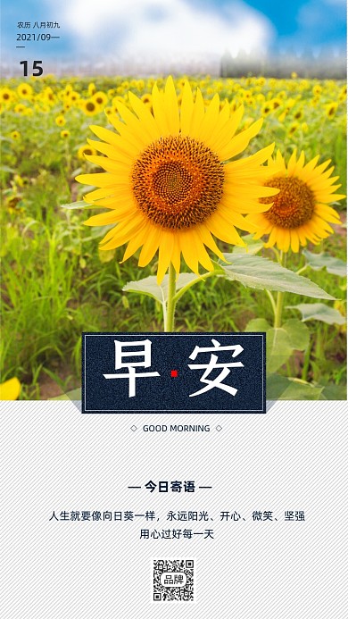 早安正能量向日葵摄影图海报