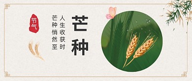 芒种节气公众号首图