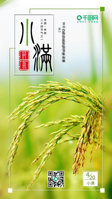 小清新小满二十四节气手机宣传图