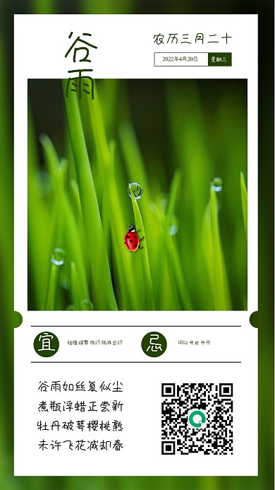 新媒体小清新日签今日谷雨手机海报壁纸
