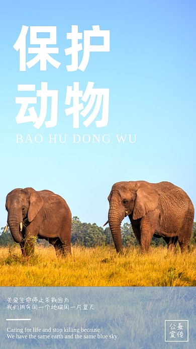 保护野生动物公益摄影图海报