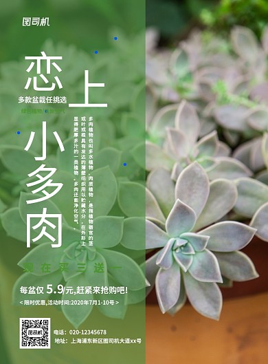 清新简约创意绿色多肉促销海报