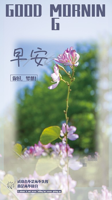 早安你好梦想正能量励志心语花摄影海报