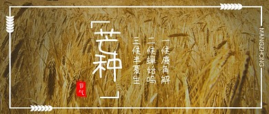 创意芒种节气时节海报微信公众号素材图片