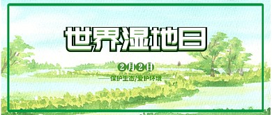 水彩插画简约风世界湿地日公众号首图