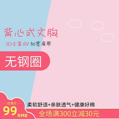 女装内衣文胸主图