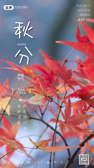 传统节气秋分宣传海报