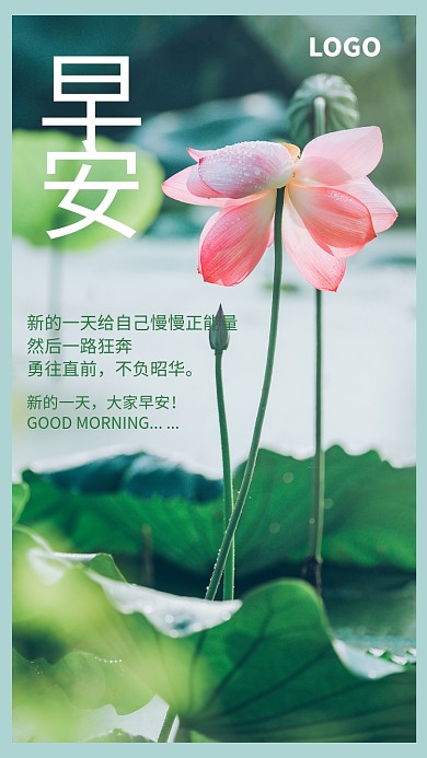 创意摄影日签海报