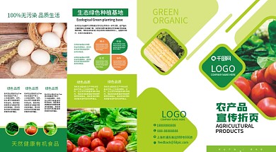 原创绿色农产品说明四折页