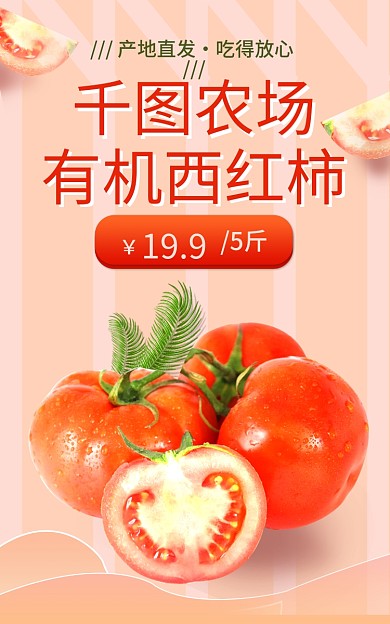 番茄西红柿有机西红柿农场食品海报banner