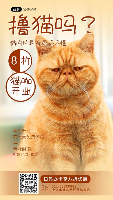 猫咖开业可爱猫咪摄影图海报