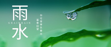 雨水绿叶雨水绿色简约风公众号首图