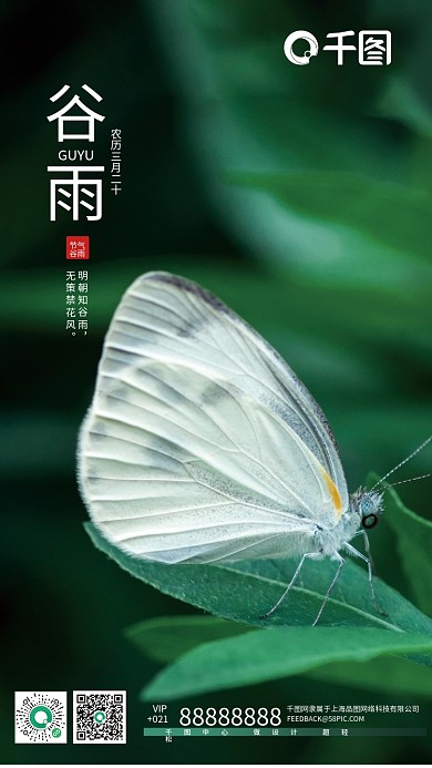 二十四谷雨节气蝴蝶小清新海报
