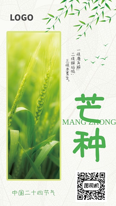 创意传统芒种节气海报