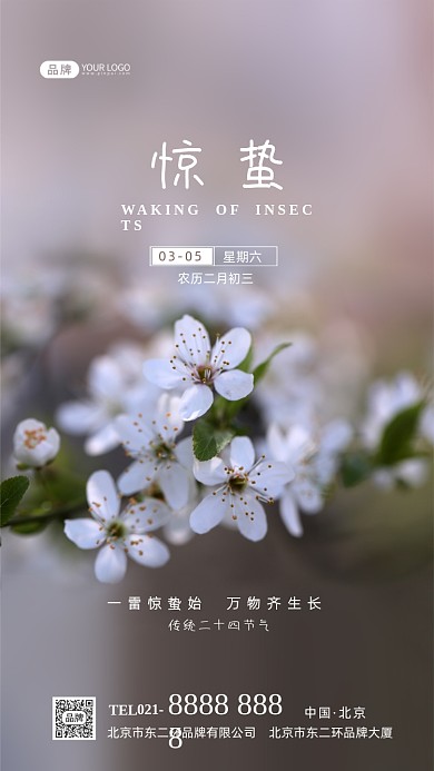 惊蛰节气传统节气摄影图海报