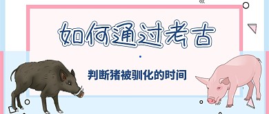 判断猪被驯化的时间公众号首图