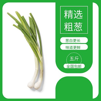绿色简约大葱生鲜农产品蔬菜主图