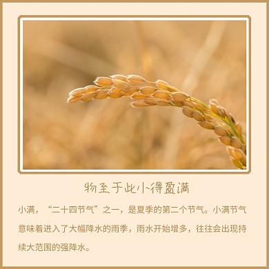 小满二十四节气之一方形配图