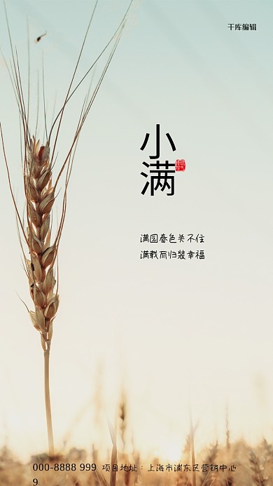 小满小麦青色写实海报