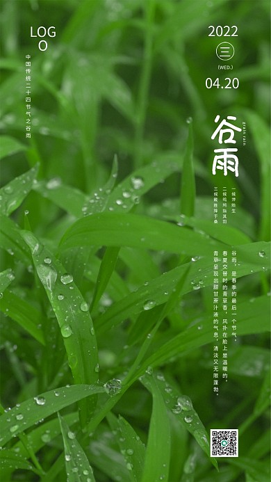 绿色草丛谷雨节气海报