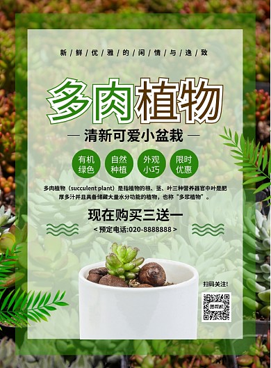 简约大气创意多肉植物促销海报