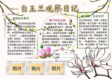 白玉兰观察日记动植物小报小学生手抄报