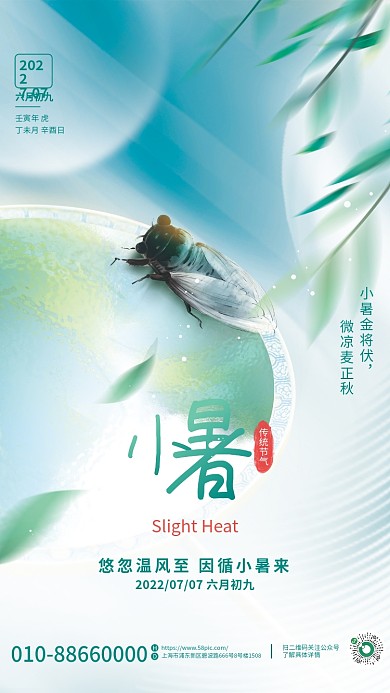 简约风传统节气2022知了小暑节气海报