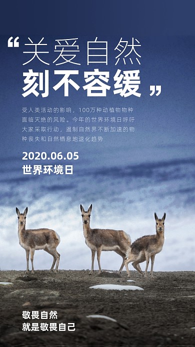 世界环境日宣传海报