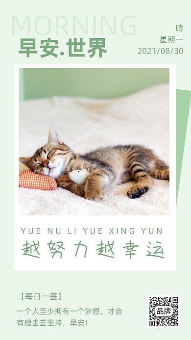 早安早餐问候早安猫咪摄影图海报