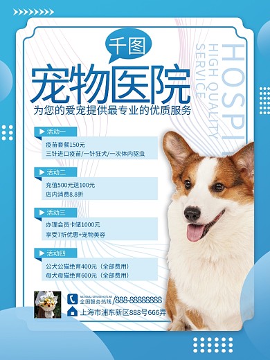 简约宠物医院促销活动海报