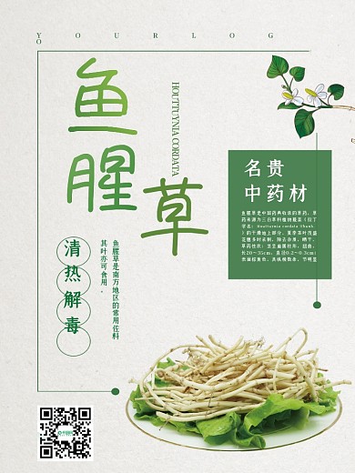 简约大气鱼腥草中药药材海报