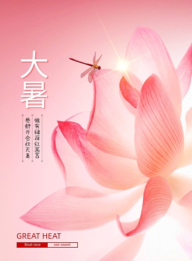 大暑荷花摄影图节气海报