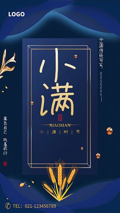 创意时尚高端小满节气海报