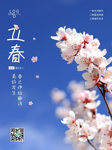 二十四节气简约立春海报梅花蓝天春天