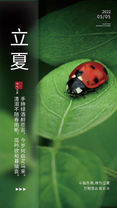 二十四节气立夏摄影图海报