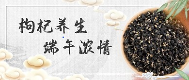 端午节中医养生公众号首图