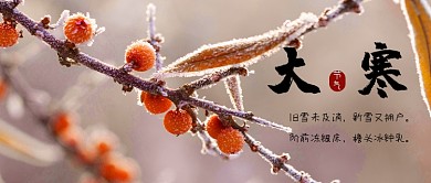 大寒公众号封面2