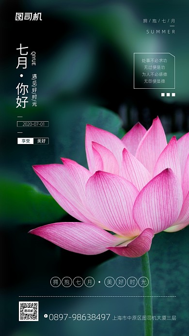 七月你好简约简约荷花宣传海报