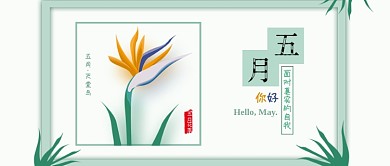 原创清新五月你好天堂鸟背景配图