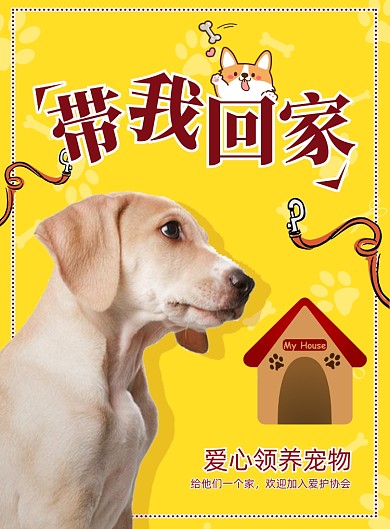 宠物带我回家爱心领养海报