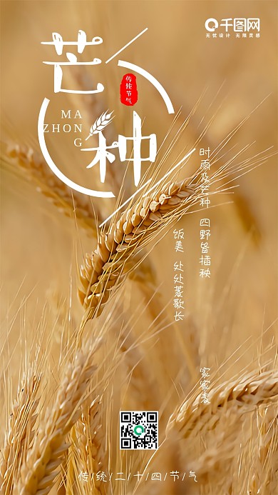 芒种二十四节气简约小清新手机配图