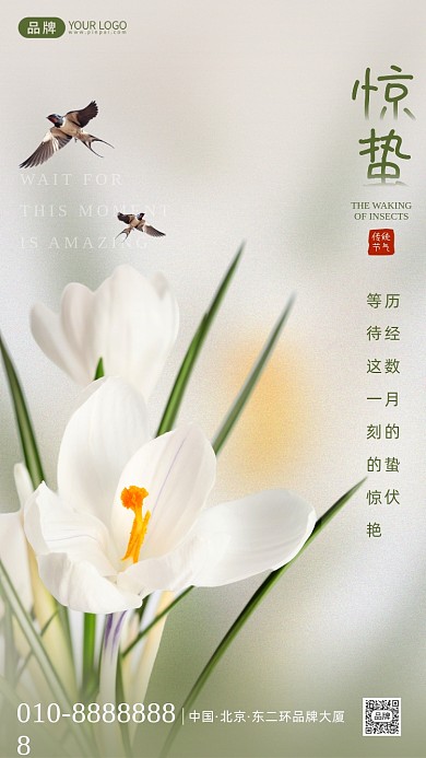 惊蛰传统节气摄影图海报