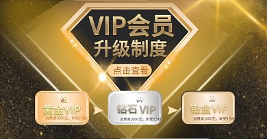 VIP会员制度