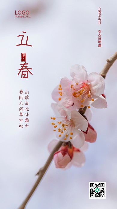 立春 梅花 粉色 节气海报 二十四节气