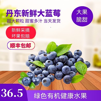 美味健康生鲜水果蓝莓直通车