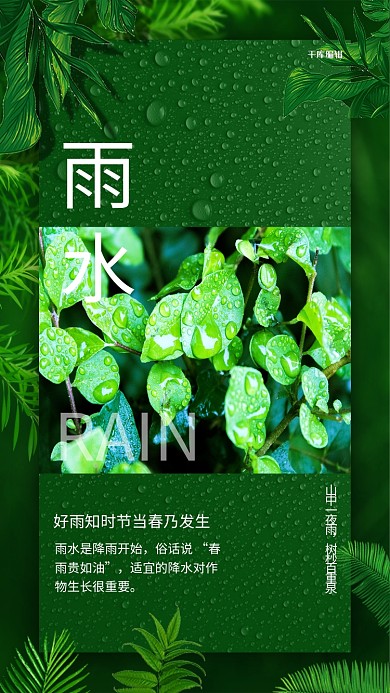 雨水节气树叶绿色清新简洁海报