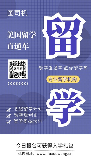 紫色网格留学培训广告宣传海报